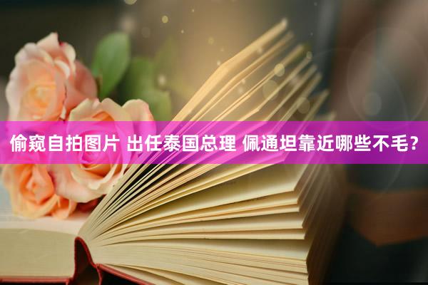 偷窥自拍图片 出任泰国总理 佩通坦靠近哪些不毛？