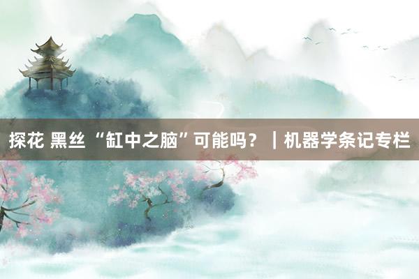 探花 黑丝 “缸中之脑”可能吗？｜机器学条记专栏