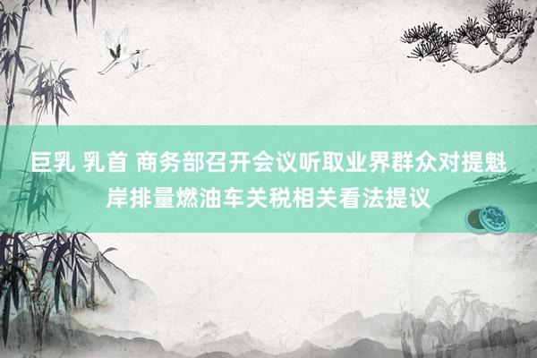 巨乳 乳首 商务部召开会议听取业界群众对提魁岸排量燃油车关税相关看法提议