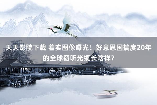 天天影院下载 着实图像曝光!好意思国揣度20年的全球窃听光缆长啥样?