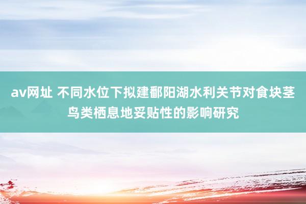 av网址 不同水位下拟建鄱阳湖水利关节对食块茎鸟类栖息地妥贴性的影响研究