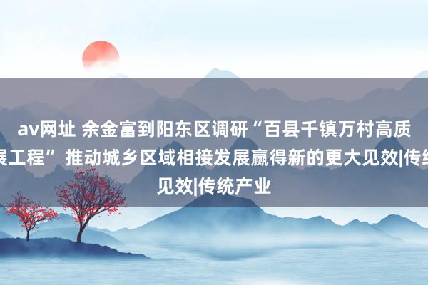 av网址 余金富到阳东区调研“百县千镇万村高质地发展工程” 推动城乡区域相接发展赢得新的更大见效|传统产业