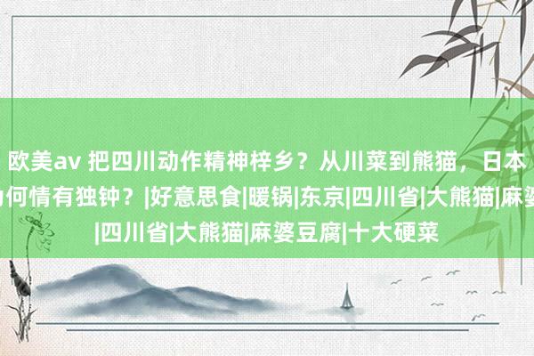 欧美av 把四川动作精神梓乡？从川菜到熊猫，日本东谈主对四川为何情有独钟？|好意思食|暖锅|东京|四川省|大熊猫|麻婆豆腐|十大硬菜