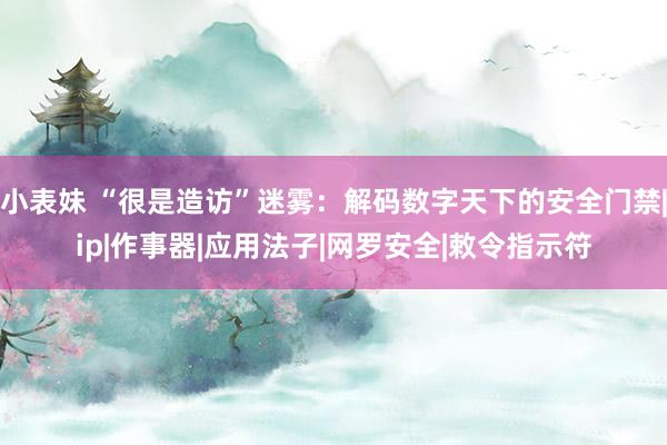小表妹 “很是造访”迷雾：解码数字天下的安全门禁|ip|作事器|应用法子|网罗安全|敕令指示符