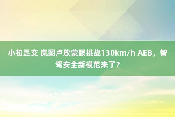 小初足交 岚图卢放蒙眼挑战130km/h AEB，智驾安全新模范来了？