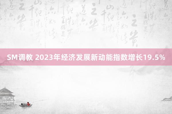 SM调教 2023年经济发展新动能指数增长19.5%