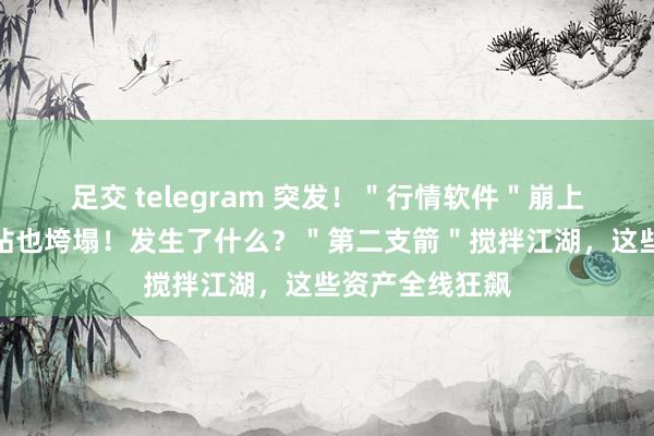 足交 telegram 突发！＂行情软件＂崩上热搜，这个网站也垮塌！发生了什么？＂第二支箭＂搅拌江湖，这些资产全线狂飙