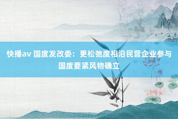 快播av 国度发改委：更松弛度相沿民营企业参与国度要紧风物确立