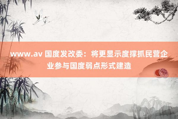 www.av 国度发改委：将更显示度撑抓民营企业参与国度弱点形式建造