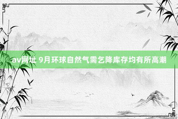 av网址 9月环球自然气需乞降库存均有所高潮