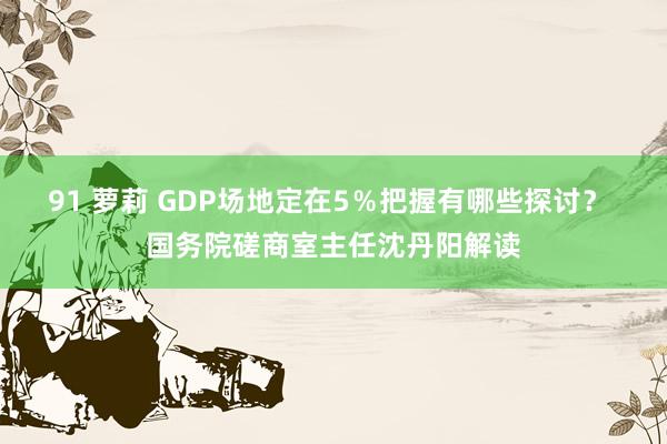 91 萝莉 GDP场地定在5％把握有哪些探讨？ 国务院磋商室主任沈丹阳解读