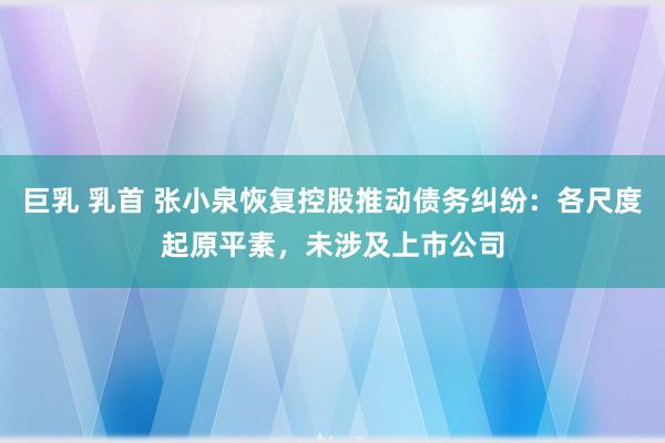 巨乳 乳首 张小泉恢复控股推动债务纠纷：各尺度起原平素，未涉及上市公司