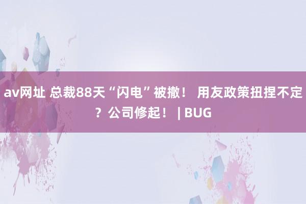 av网址 总裁88天“闪电”被撤！ 用友政策扭捏不定？公司修起！ | BUG